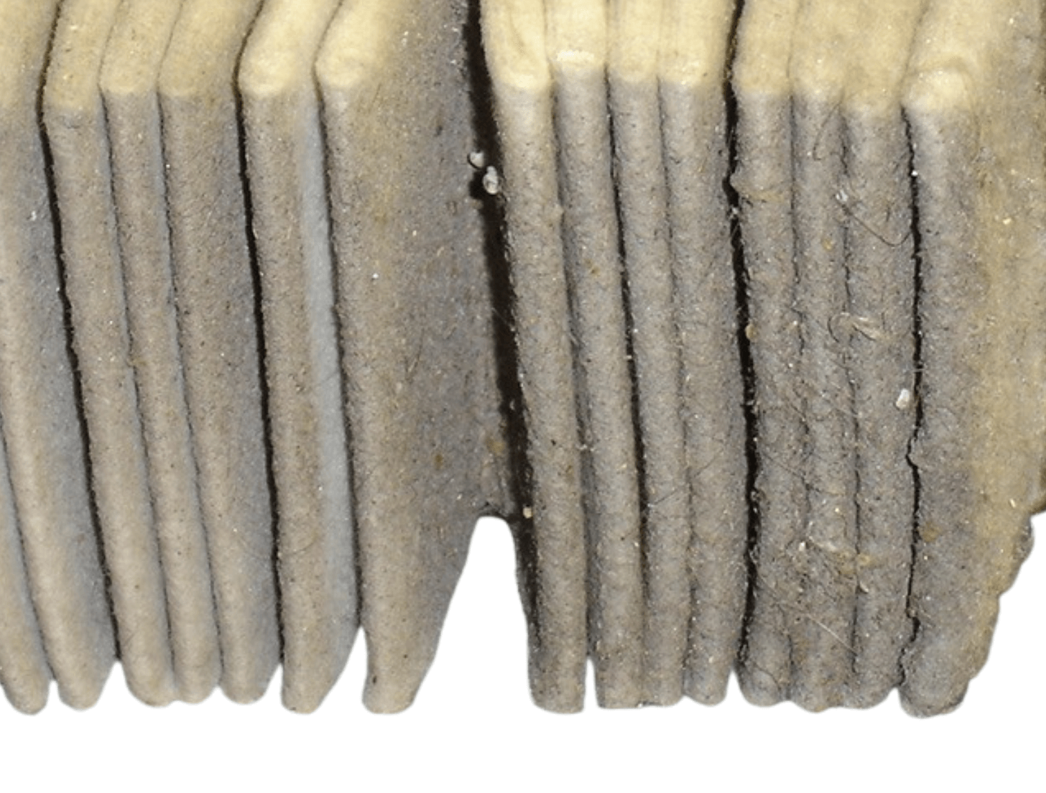 Close Up of Dirty Vacuum Filter