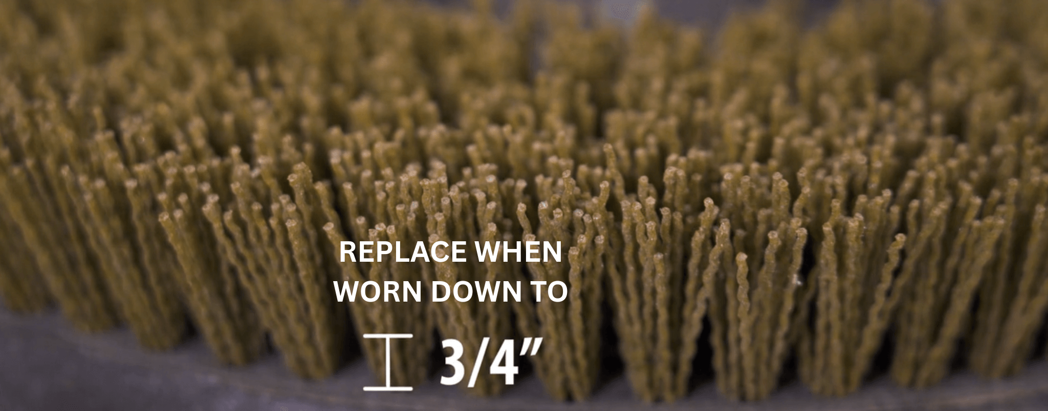 Scrub Brush - replace when down to 3/4in